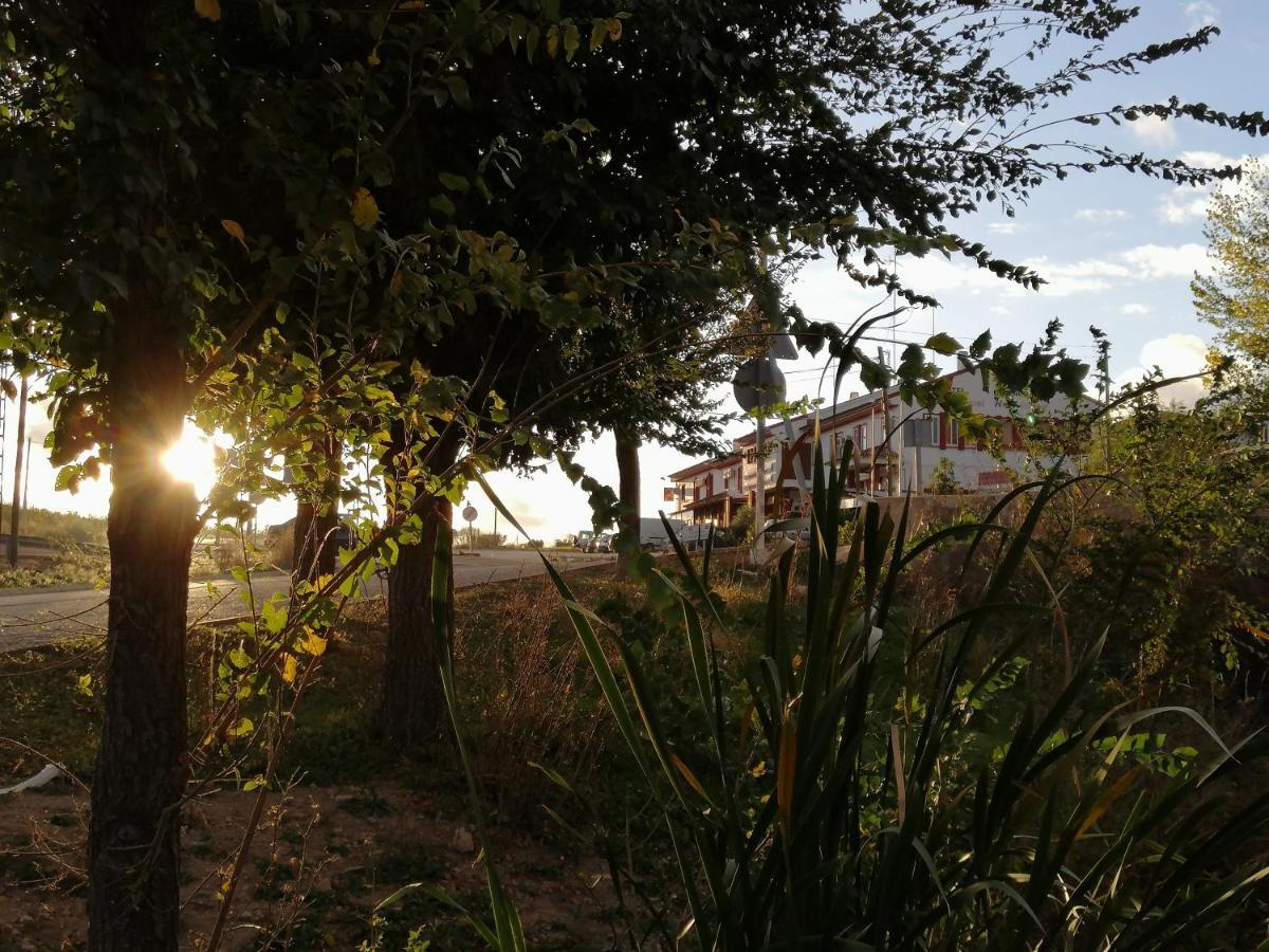 Hostal Miguel Hernandez Munera Exteriér fotografie